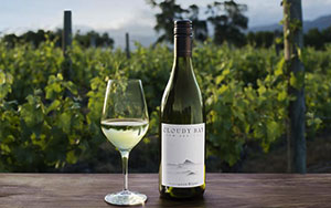 Shop Cloudy Bay Wines - Buy Online