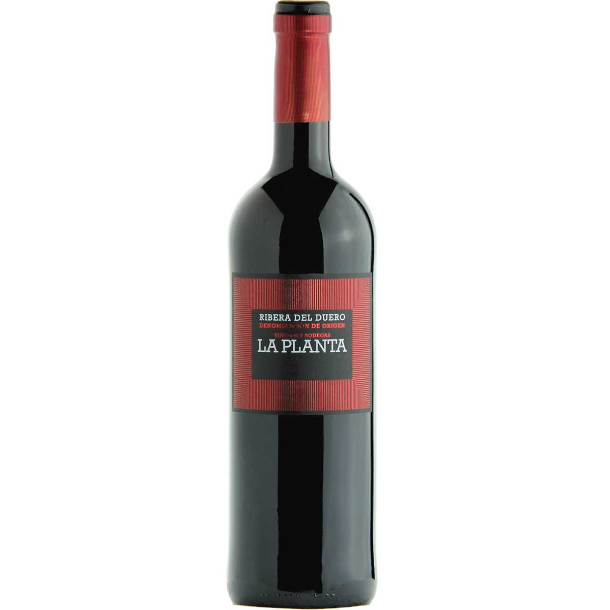 Arzuaga Navarro La Planta 2023