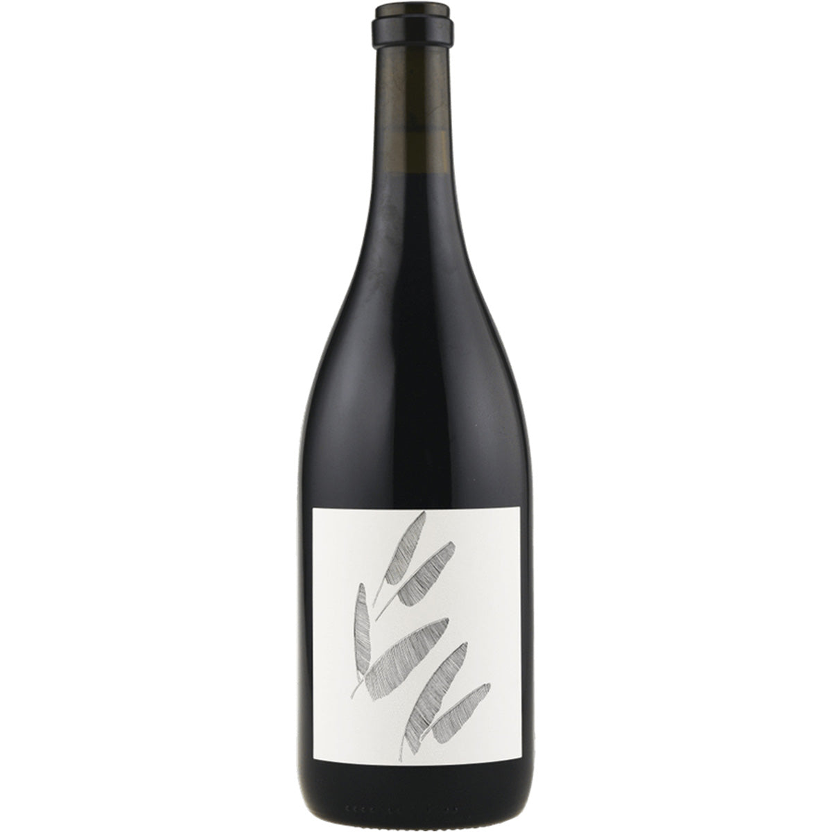 Broc Cellars Wirth Zinfandel 2018