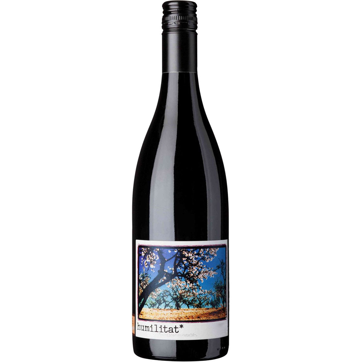 Franck Massard Humilitat 2019